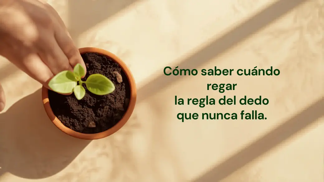 Mano que mete un dedo en la tierra de una maceta para comprobar la humedad