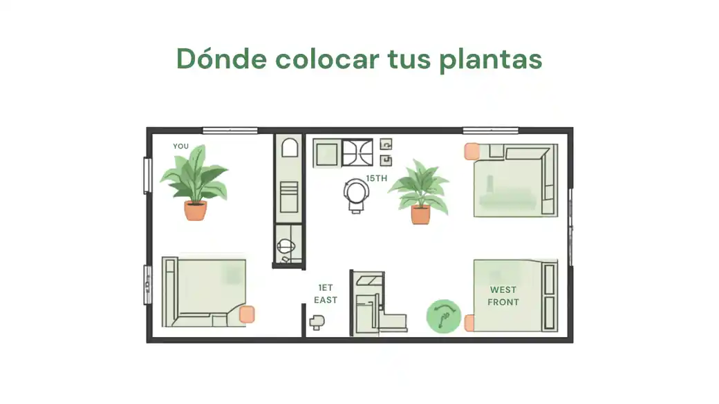 Plano de un departamento con la ubicación de las plantas según la luz de cada ventana