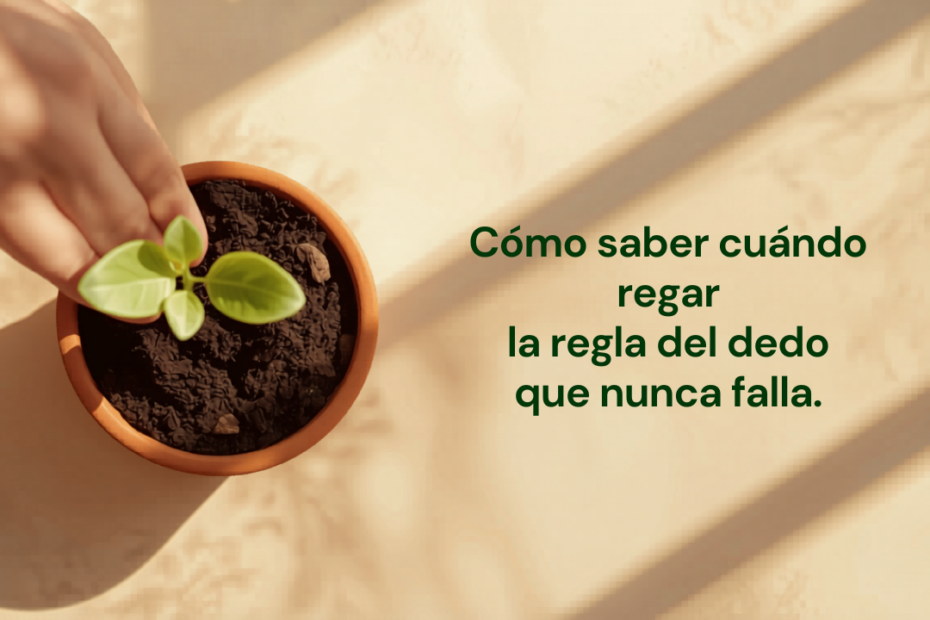 Cómo saber cuándo regar: la regla del dedo que nunca falla