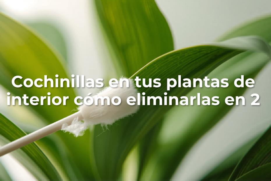 Cochinillas en tus plantas de interior: cómo eliminarlas en 2 semanas