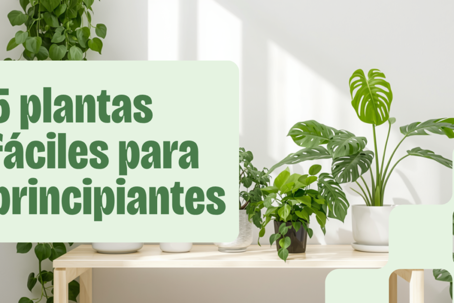 5 plantas fáciles para empezar si nunca tuviste una planta