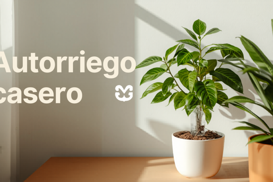 Autorriego casero: cómo mantener tus plantas vivas cuando viajas 15 días